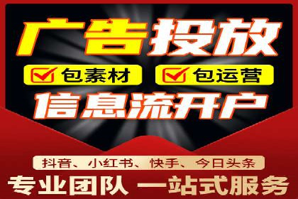 竞价广告案例分析：跨媒体广告投放策略
