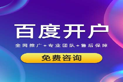 行业领先SEM服务公司案例研究